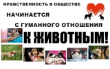 Гуманное отношение к животным – один из показателей цивилизованности общества Гуманное отношение к животным – один из показателей цивилизованности общества