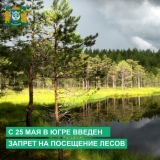 С 25 мая в автономном округе запрещено посещать леса и въезжать в лесные массивы на автотранспортных средствах, в том числе для ведения охоты и рыболовства в поймах крупных рек. С 25 мая в автономном округе запрещено посещать леса и въезжать в лесные массивы на автотранспортных средствах, в том числе для ведения охоты и рыболовства в поймах крупных рек.
