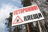 ОСТОРОЖНО – КЛЕЩИ! ОСТОРОЖНО – КЛЕЩИ!