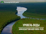 Данные по уровню воды на 15 июля: