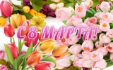 Дорогие женщины! Дорогие женщины!