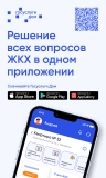 О РАБОТЕ МОБИЛЬНОГО ПРИЛОЖЕНИЯ ГИС ЖКХ «ДОМ.ГОСУСЛУГИ» О РАБОТЕ МОБИЛЬНОГО ПРИЛОЖЕНИЯ ГИС ЖКХ «ДОМ.ГОСУСЛУГИ»