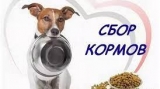 Вниманию жителей поселения! Вниманию жителей поселения!
