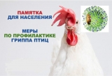 Памятка по профилактике гриппа птиц