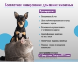 Чипирование собак Чипирование собак