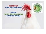 Месячник по обеспечению биологической защиты – «ЧАЙКА» Месячник по обеспечению биологической защиты – «ЧАЙКА»