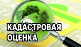Государственная кадастровая оценка объектов недвижимости в 2023 году: как ознакомиться с предварительными результатами кадастровой оценки объектов недвижимости и подать замечания к проекту отчета Государственная кадастровая оценка объектов недвижимости в 2023 году: как ознакомиться с предварительными результатами кадастровой оценки объектов недвижимости и подать замечания к проекту отчета
