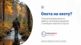 Охота на охоту? Охота на охоту?