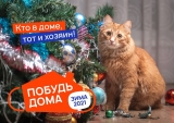 С Наступающим Новым Годом С Наступающим Новым Годом