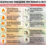 Правила поведения населения при лесных пожарах Правила поведения населения при лесных пожарах