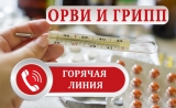 «ГОРЯЧАЯ ЛИНИЯ» ПО ПРОФИЛАКТИКЕ ГРИППА И ОРВИ «ГОРЯЧАЯ ЛИНИЯ» ПО ПРОФИЛАКТИКЕ ГРИППА И ОРВИ