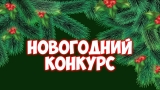 Конкурс «Лучшая игрушка для новогодней елки» Конкурс «Лучшая игрушка для новогодней елки»