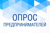 О ПРОВЕДЕНИИ ОПРОСА СУБЪЕКТОВ МАЛОГО И СРЕДНЕГО ПРЕДПРИНИМАТЕЛЬСТВА О ПРОВЕДЕНИИ ОПРОСА СУБЪЕКТОВ МАЛОГО И СРЕДНЕГО ПРЕДПРИНИМАТЕЛЬСТВА