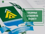 Публичные слушания по бюджету Нижневартовского района на 2025 год