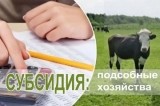 ПАМЯТКА ДЛЯ ПРЕТЕНДЕНТОВ НА ПОЛУЧЕНИЕ СУБСИДИЙ НА СОДЕРЖАНИЕ МАТОЧНОГО ПОГОЛОВЬЯ ЖИВОТНЫХ В ЛИЧНЫХ ПОДСОБНЫХ ХОЗЯЙСТВАХ В 2025 ГОДУ. ПАМЯТКА ДЛЯ ПРЕТЕНДЕНТОВ НА ПОЛУЧЕНИЕ СУБСИДИЙ НА СОДЕРЖАНИЕ МАТОЧНОГО ПОГОЛОВЬЯ ЖИВОТНЫХ В ЛИЧНЫХ ПОДСОБНЫХ ХОЗЯЙСТВАХ В 2025 ГОДУ.