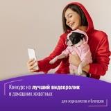 Конкурс среди журналистов и блогеров «ВКонтакте» на лучший видеоролик о домашних животных Конкурс среди журналистов и блогеров «ВКонтакте» на лучший видеоролик о домашних животных