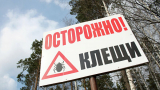С момента потепления в Югре активизировались клещи. С момента потепления в Югре активизировались клещи.