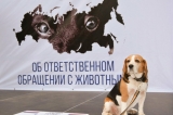 Уважаемые жители городского поселения Излучинск! Уважаемые жители городского поселения Излучинск!